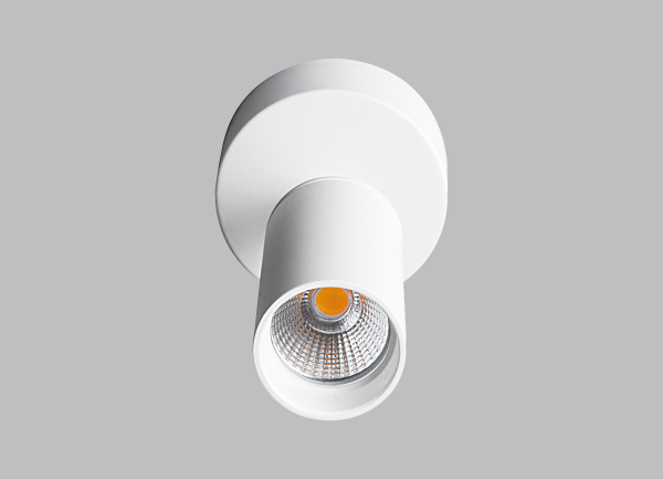 LU 7245 - Görsel 3