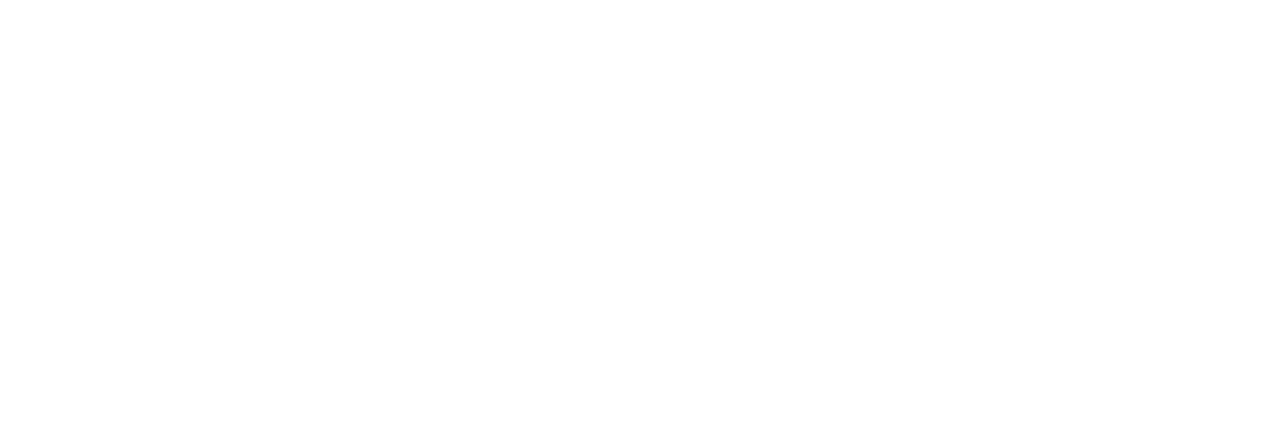 Lizera